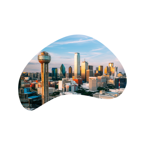AAHKS 2026 Landing Page Hero - Dallas