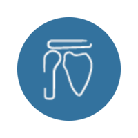Icon Shoulder.png