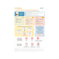 ALLEVYN Exudate Management Pathway Acute