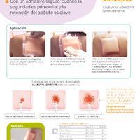 25199-es v2 allevyn adhesive application sheet 1220