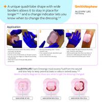 41770-uki ALLEVYN Life application sheet 0124.pdf