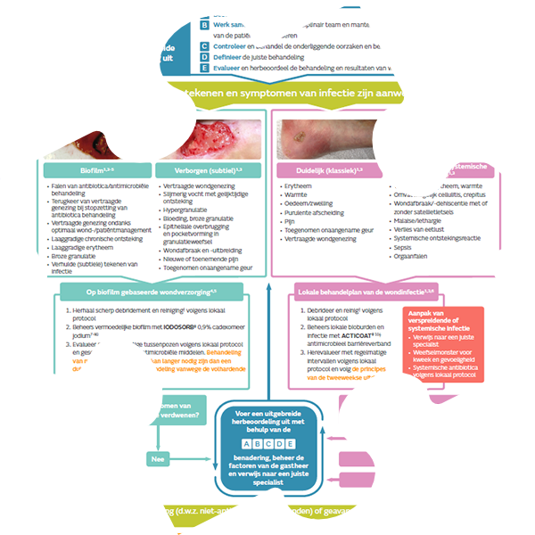 IM Pathway puzzle.png