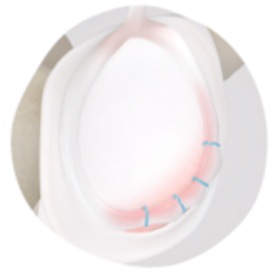 image (19) (1).png