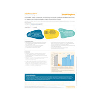 IODOSORB Evidenz im Fokus Stürmer et al 2021