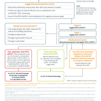 42415 uki PICO sNPWT Summary Pathway for Non-Healing 04-24.pdf
