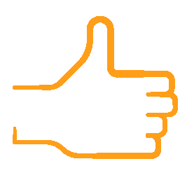 S+N_CRRPORATE_ICONS_2019_FINAL_RGB_Misc_Thumbs up orange.png