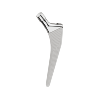 POLARSTEM Hero 1.png