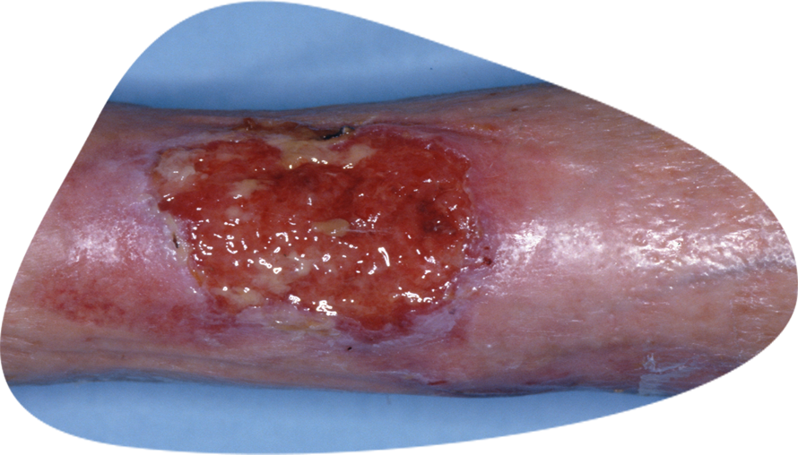 CICAnews 2 - Image 1.png