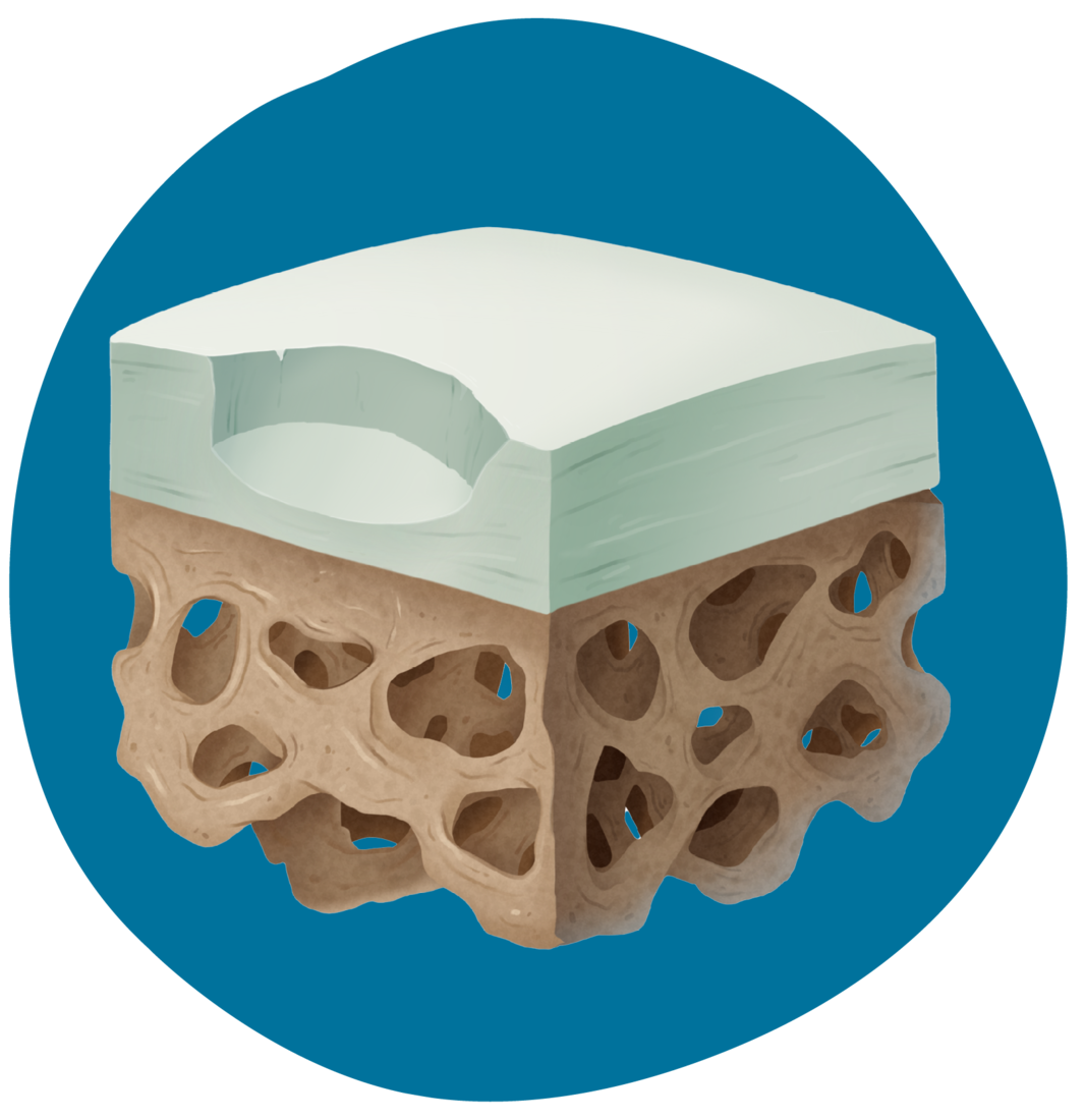 CARTIHEAL Cards-graphic 3.png