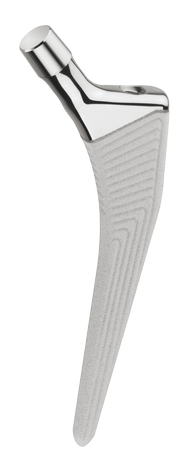 POLARSTEM Hero 1.png