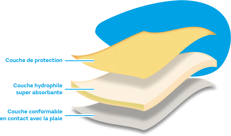 CICAnews 2 - Image 4.png