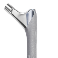 REDAPT Femoral Hero without sleeve