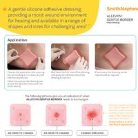 ALLEVYN GENTLE BORDER Application Guide