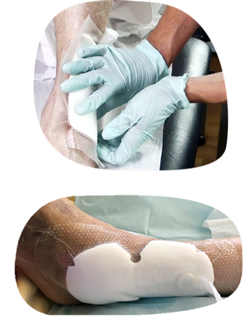 CICAnews 3 - Image 4.png