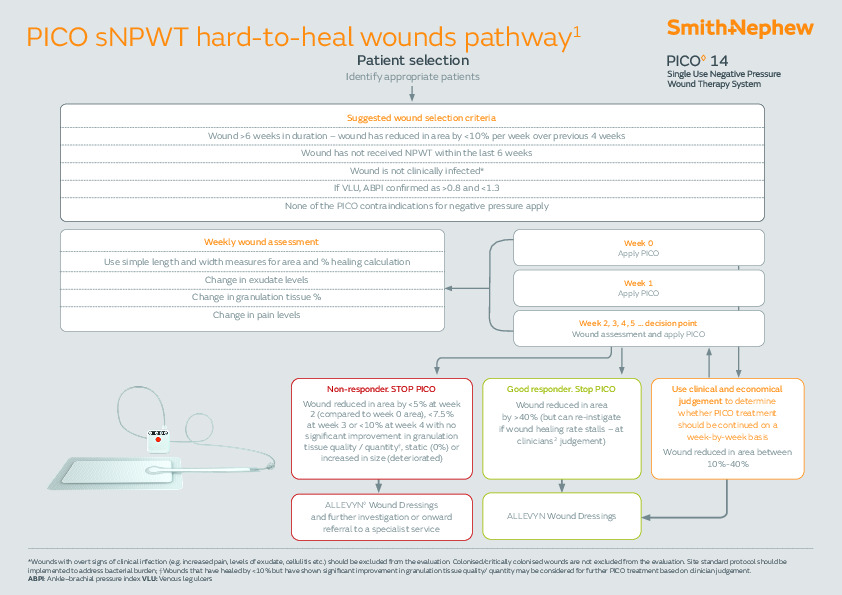 PICO 14 Pathway poster