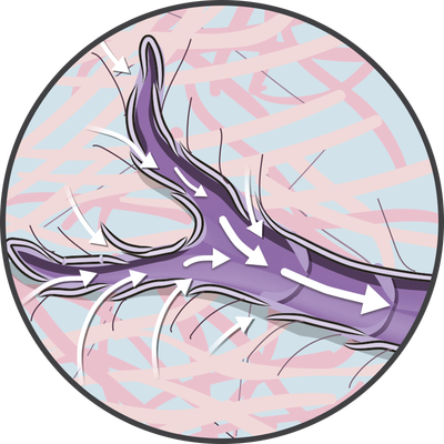 20250319_PICONHW_MoA2