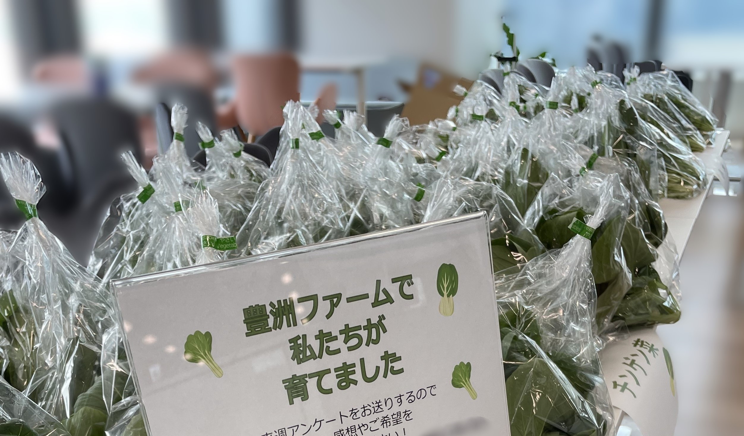 豊洲ファーム1周年