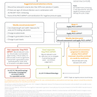 20250321_PICONHW_Pathway