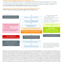 42458-pt_V1_Protocolo feridas dificil cicatrizaçao.pdf