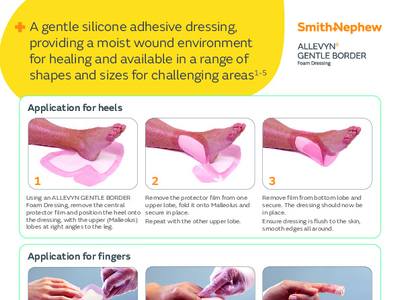 38899-uki ALLEVYN Gentle Border Awkward Areas application sheet