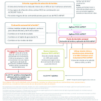 42415-ES - PICO sNPWT summary pathway_Non healing 0424_v2.pdf