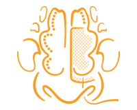 RAPID RHINO Nasal Dressings Bullet 3 - Physical Barrier