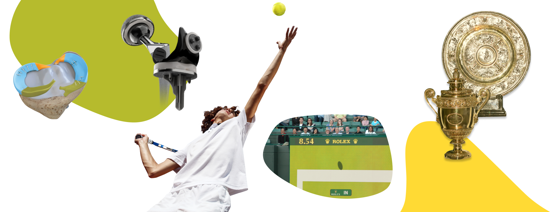 6_timeline SN_wimbledon.png