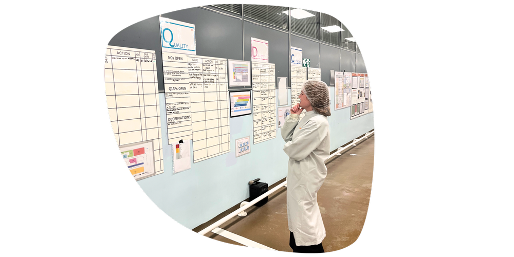 Blog-Apprenticeship Week 2026-checking wall charts.png