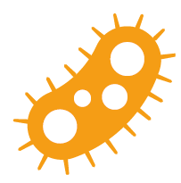 bacteria icon.png