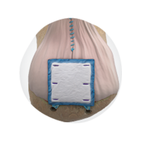 42372 4 REGENETEN Thumbnail.png