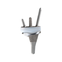 FREEDOM Wrist Hero 1.png