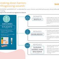 IOPE1-32565-0322-IODOSORB Single Sheet - FINAL APPROVED.pdf