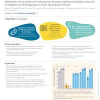 IODOSORB Evidenz im Fokus Stürmer et al 2021
