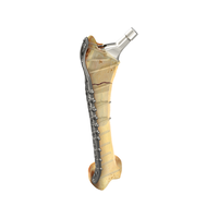 EVOS Large Simplicity.png