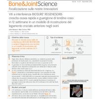 BIOSURE_REGENESORB_Bone&Joint -it V1