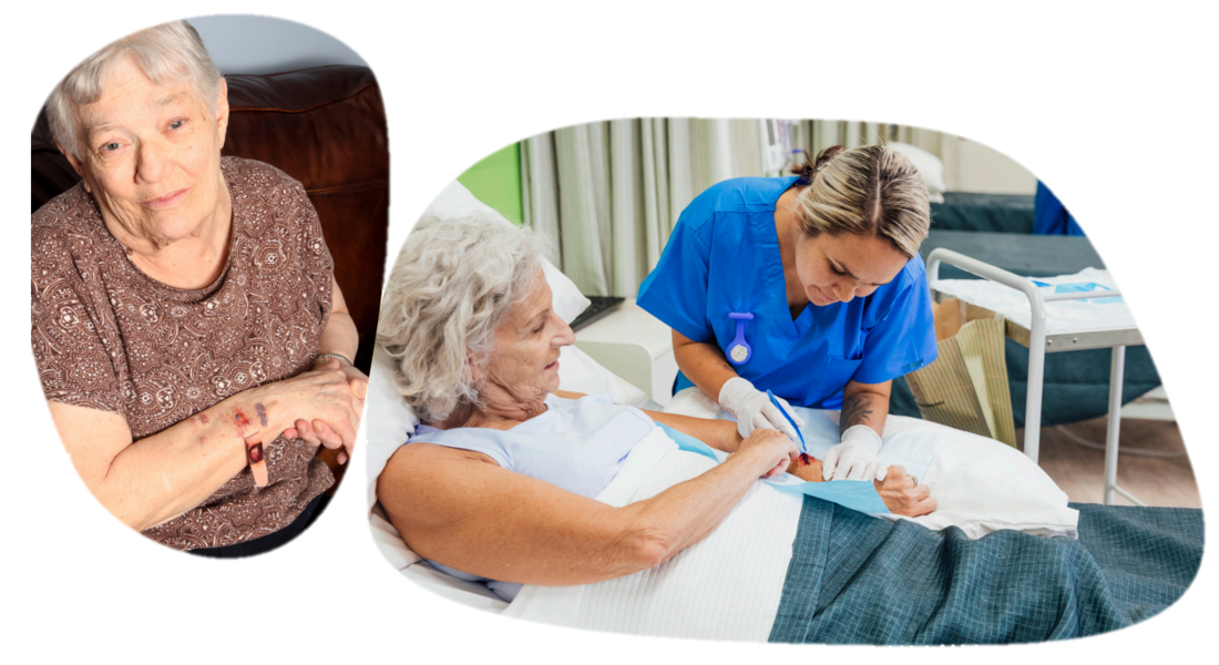 CICAnews 1 - Image 4.png