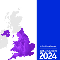 NJR 21st Annual Report 2024_Hips.pdf