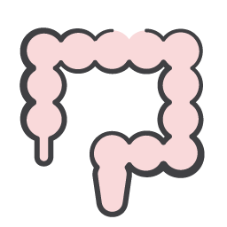 20250506_PICONHW_ABDOMIN.png