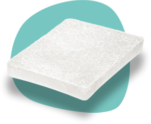 CICAnews 3 - Bioactifs.png