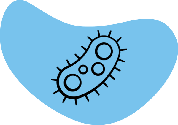 ALLEVYN Ag range - icon.png