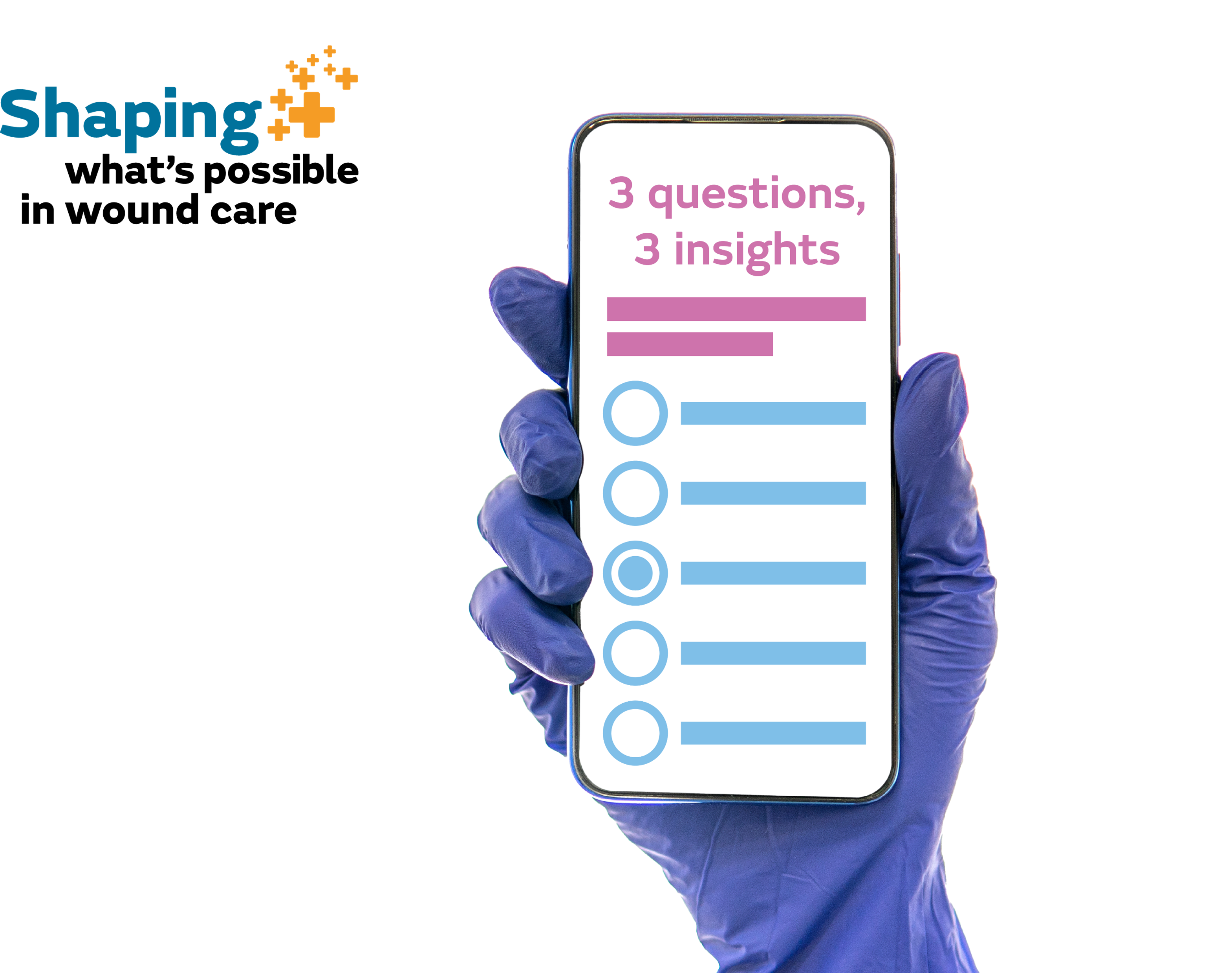 40934v -PICO-BA Banner Transparent 2.png