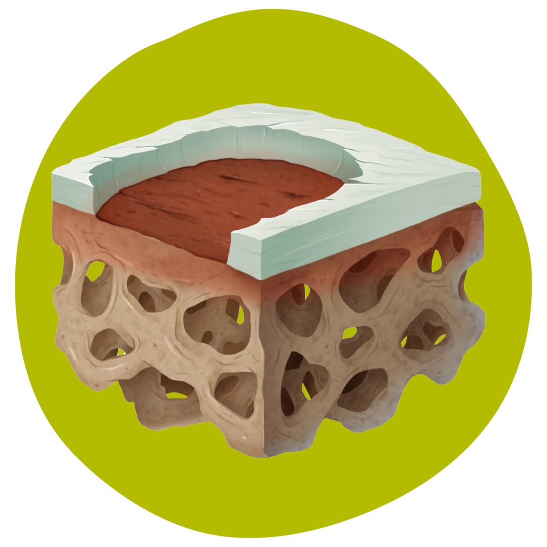 CARTIHEAL Cards-graphic 2.png