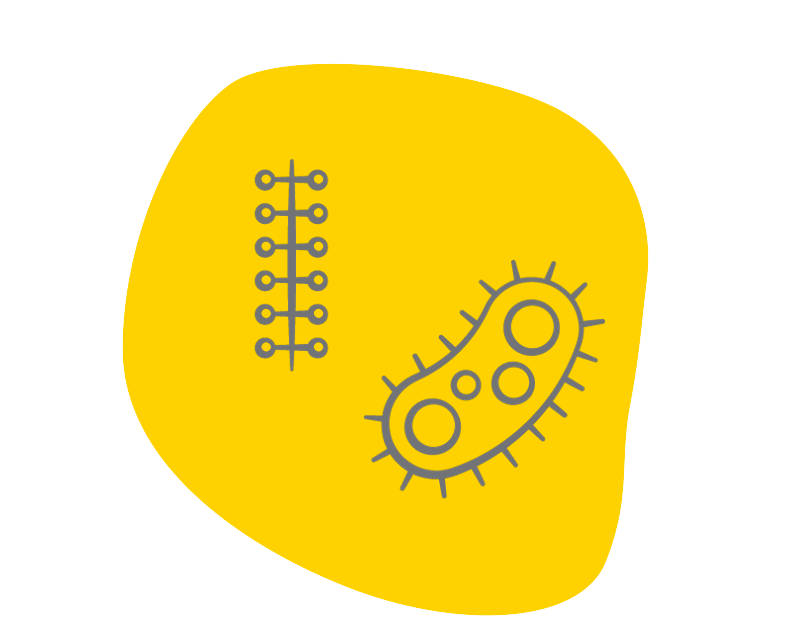 PICO Obs-landing-page-infographics-1.png