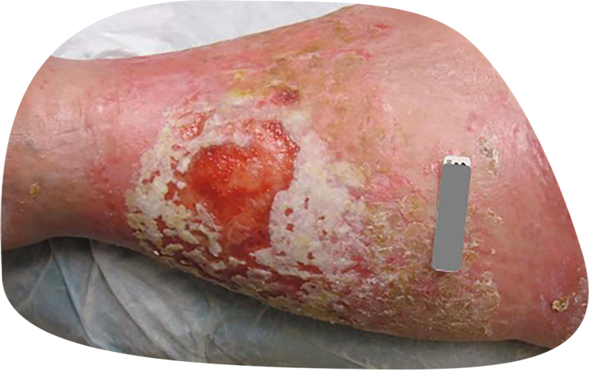 CICAnews 2 - Image 6.png