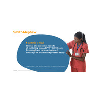 ALLEVYN LIFE EIF Tiscar Gonzalez (2020) Slides