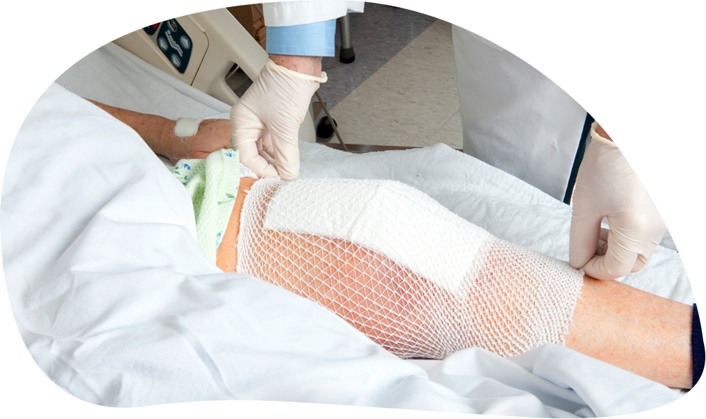 CICAnews 2 - Image 2.png