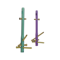 TRIGEN HFN LIME AND ROSE NAIL.png