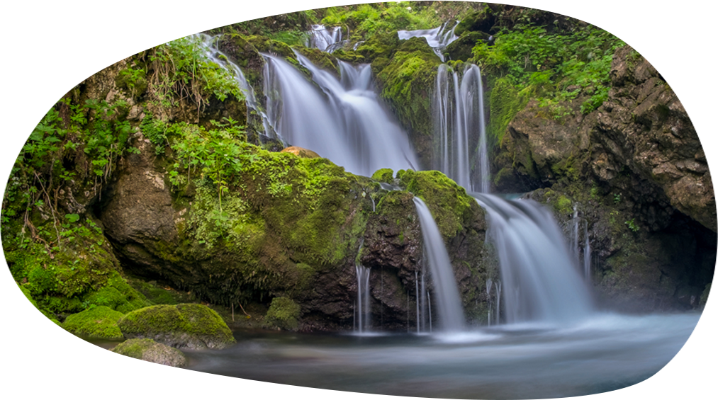 CICAnews 2 - Image 7.png