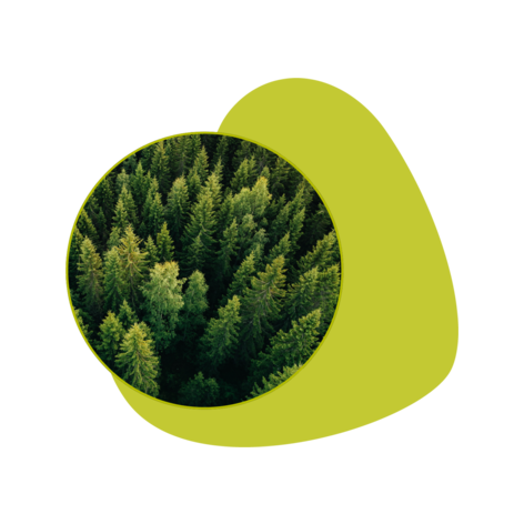 ALLEVYN Less waste web-sustainability.png