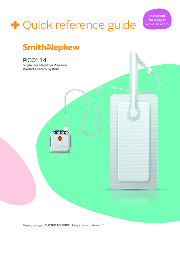 PICO 14 Quick Reference Guide